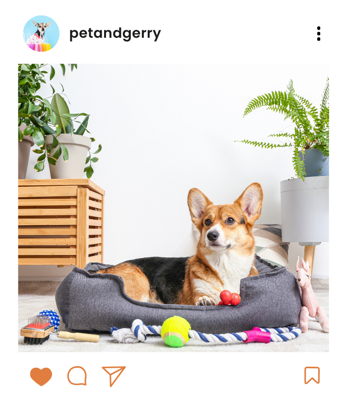 social media content